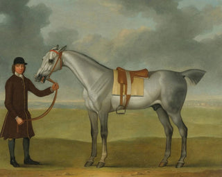 James Seymour - Mr Thomas Pantons Crab A Grey Racehorse Being Held By A Groom On Newmarket Heath.webp