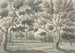 Conception pour un jardin paysager avec étangs vus à travers les arbres - James Spyers — vista dell’opera