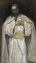 Notre Seigneur Jésus-Christ - James Tissot — vista dell’opera