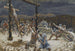 La levée de la croix - James Tissot — vista dell’opera