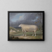 Una pecora Border Leicester - James Ward — quadro incorniciato alla parete