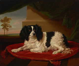 James Ward - A King Charles Spaniel on a red cushion.webp