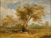 Un quercia nel parco di Richmond con un branco di cervi accanto a sé - James Ward — vista dell’opera