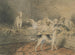 Cani - James Ward — vista dell’opera