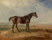 Un cavallo da corsa baio al mare con un estuario sullo sfondo - James Ward — vista dell’opera