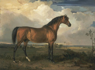 Aigle, un cavallo famoso - James Ward — vista dell’opera