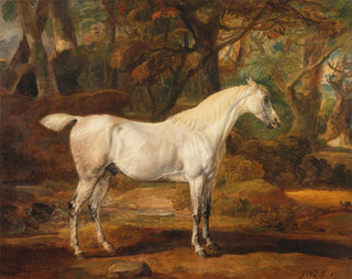 di un cavallo arabo grigio appartenente a Sir Watkin Williams-Wynn - James Ward — vista dell’opera