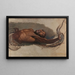 Uomo che lotta con un boa constrictor Studio per Il serpente Liboya che afferra la sua preda - James Ward — quadro incorniciato alla parete