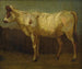 Ritratto di una mucca - James Ward — vista dell’opera