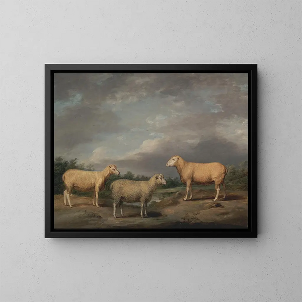 Moutons Ryelands, il montone del re, la pecora del re e il montone di Lord Somerville - James Ward — quadro incorniciato alla parete