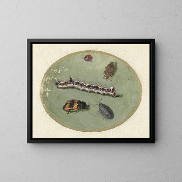 Coccinelle, bruchi, porcellino d'India e due coleotteri - Jan Augustin van der Goes — quadro incorniciato alla parete