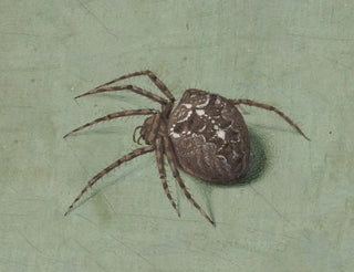 Jan Augustin van der Goes - Spin.webp