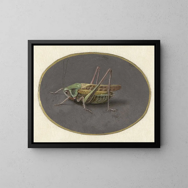 Sauterelle - Jan Augustin van der Goes — quadro incorniciato alla parete