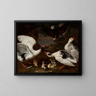 Jan Baptist Bouttats - Hawk and geese.webp