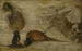 Studio di scimmie, un cervo e altri animali - Jan Brueghel il Giovane — vista dell’opera