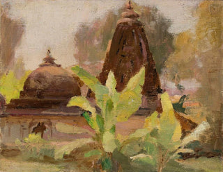 Jan Cigliski - Ahmedabad  Jain Temple From the journey to India.webp