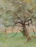 Pommier - Jan Cybis — vista dell’opera