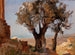 Alberi di Girgenti - Jan Cybis — vista dell’opera