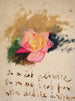 Rose - Jan Cybis — vista dell’opera