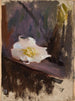 Studio di fiori bianchi - Jan Cybis — vista dell’opera