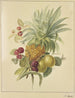 Un ananas, delle prugne e delle lamponi - Jan Evert Morel — vista dell’opera