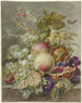 Nature morte aux fruits - Jan Evert Morel — vista dell’opera