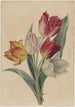 Bouquet de tulipes - Jan Jacob Goteling Vinnis — vista dell’opera