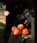Nature morte con albicocche e farfalle - Jan Mortel — vista dell’opera