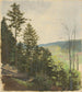 Scrub Hill - Jan Nowopack — vista dell’opera
