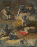 Studio di un cane - Jan Nowopack — vista dell’opera