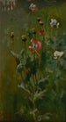 Coquelicots en fleurs - Jan Stanisławski — vista dell’opera