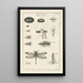 Le livre de la nature ou L'histoire des insectes Pl12 - Jan Swammerdam — quadro incorniciato alla parete