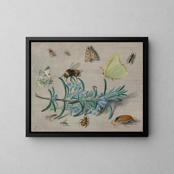 Insetti e un ramo di rosmarino - Jan van Kessel l'Ancien — quadro incorniciato alla parete