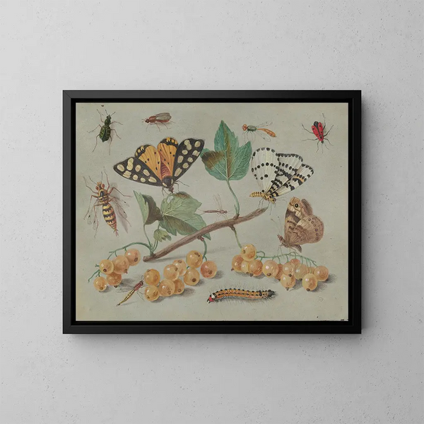 Studio di farfalle e insetti - Jan van Kessel l'Ancien — quadro incorniciato alla parete