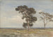 Vista sulla brughiera con due alberi - Jan Willem van Borselen — vista dell’opera