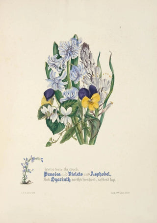Jane Elizabeth Giraud - Pansies violets asphodel and hyacinth.webp