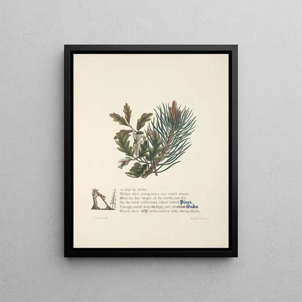Jane Elizabeth Giraud - Pines and oaks.webp