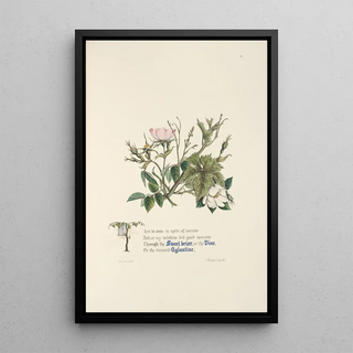 Jane Elizabeth Giraud - Sweet briar eglantine and vine.webp