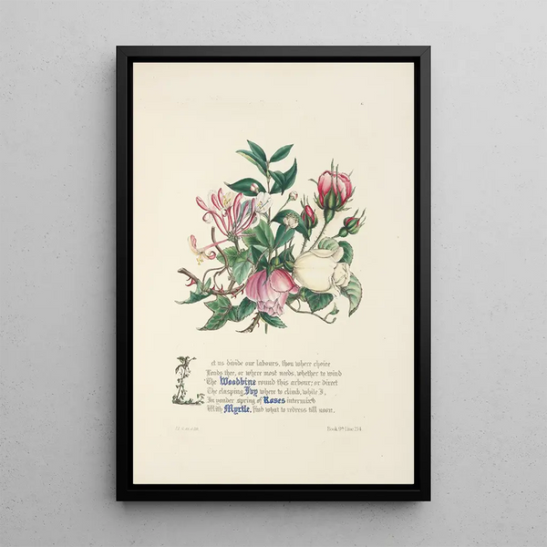 Jane Elizabeth Giraud - Woodbine ivy roses and myrtle.webp