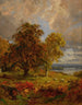Paesaggio con alberi e pecore vicino a un boschetto - Jasper Francis Cropsey — vista dell’opera