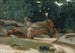 Bûcherons - Jean-Baptiste-Camille Corot — vista dell’opera