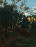 Boschetto di alberi tra le rocce, Civita Castellana - Jean - Baptiste Camille Corot — vista dell’opera