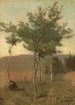 Bouquet d'arbres effet de crépuscule - Jean-Baptiste-Camille Corot — vista dell’opera