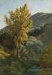 Studio di un albero vicino a un torrente in Italia - Jean-Baptiste-Camille Corot — vista dell’opera