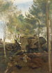 Fontainebleau Pins et bouleaux dans les rochers - Jean-Baptiste-Camille Corot — vista dell’opera