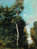 Foresta sulla Costa di Grâce a Honfleur - Jean-Baptiste-Camille Corot — vista dell’opera