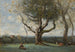 Il grande albero, dintorni di Gournay - Jean-Baptiste-Camille Corot — vista dell’opera