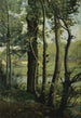 Les Evaux près Château-Thierry chemin bordé d'arbres - Jean-Baptiste-Camille Corot — vista dell’opera