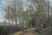 Ville d'Avray, il cavaliere all'ingresso del bosco - Jean-Baptiste-Camille Corot — vista dell’opera