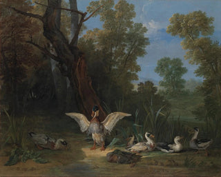 Anatre che si riposano al sole - Jean-Baptiste Oudry — vista dell’opera